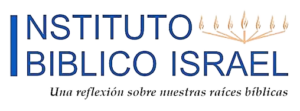 IBIS Instituto Logo